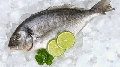 Правила хранения соленой, сушеной и вяленой рыбы в холодильнике