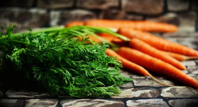 Морковь для хранения на зиму:лучшие сорта