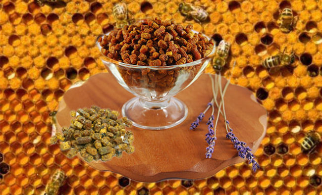 Перга пчелиная: применение и хранение в домашних условиях