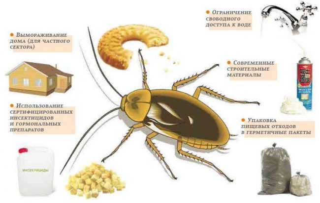 Как избавиться от тараканов раз и навсегда